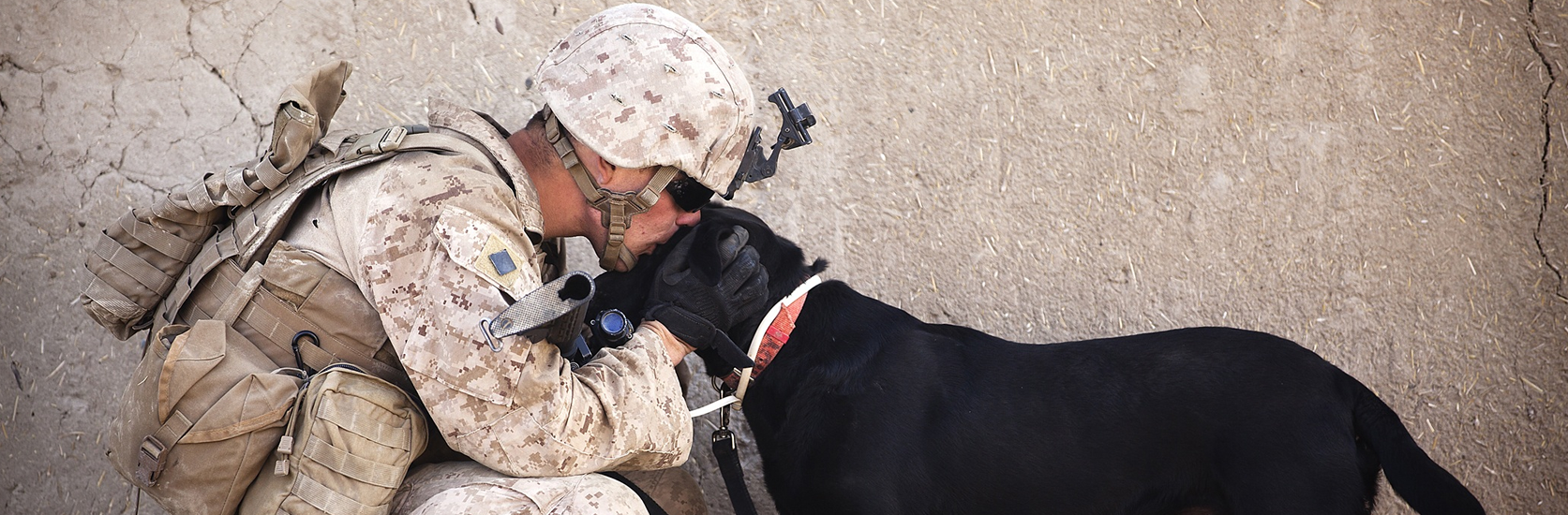 Soldier kissing a black lab