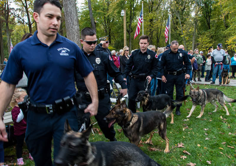 polis memuru k9 birimi